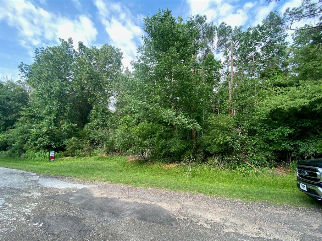 TBD8 Idlewilde Drive, Onalaska, Texas image 1