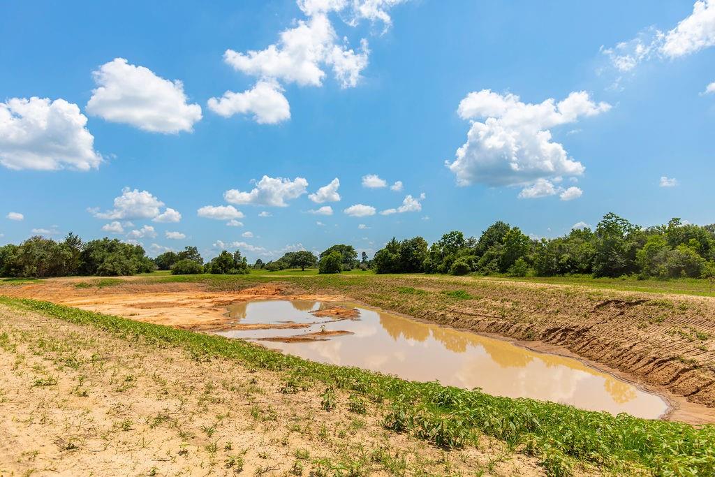 TBD Jalowy Road, Cat Spring, Texas image 12