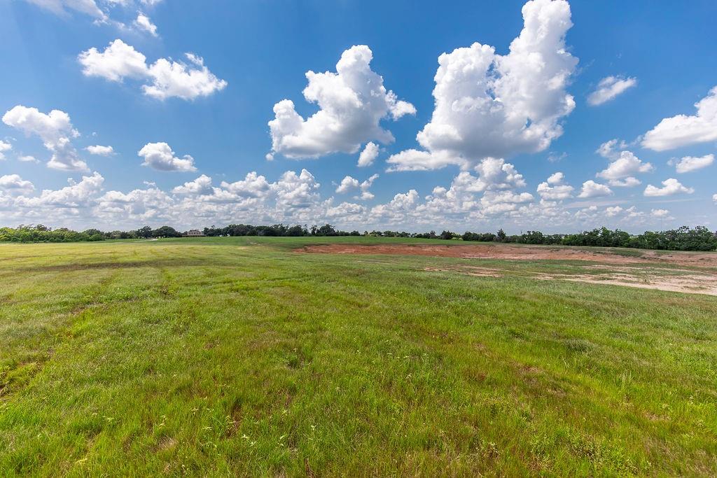 TBD Jalowy Road, Cat Spring, Texas image 6