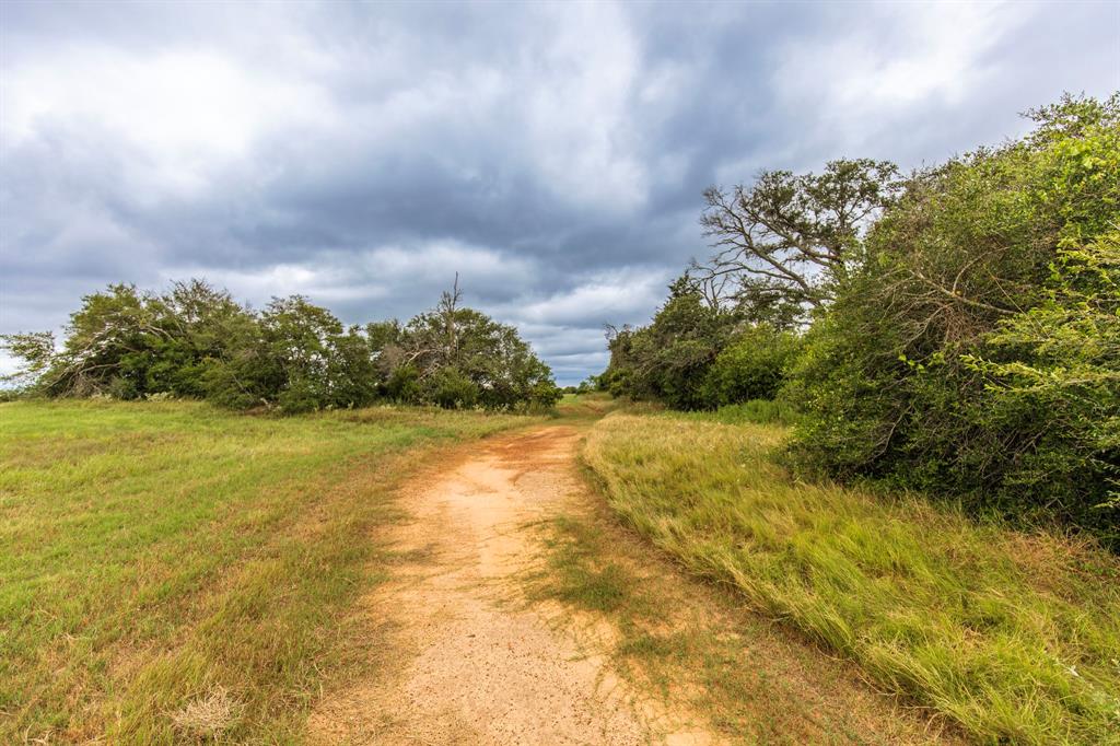 TBD Jalowy Road, Cat Spring, Texas image 3