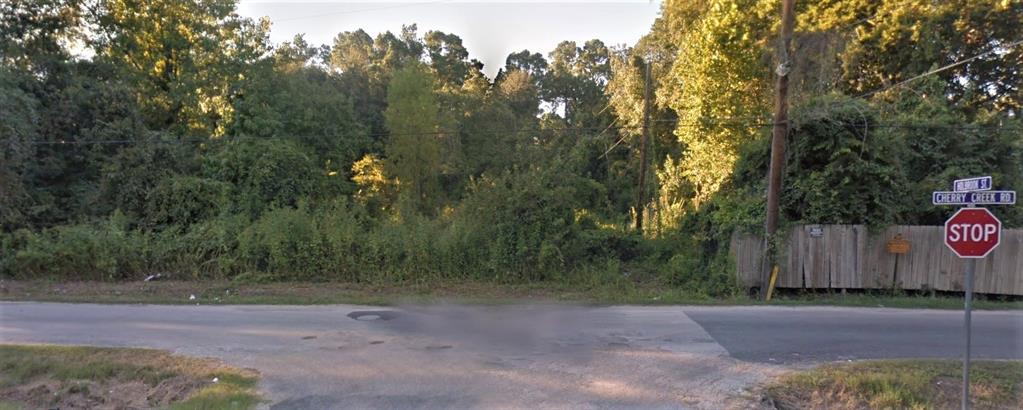 TBD Cherry Creek Drive, Dayton, Texas image 6