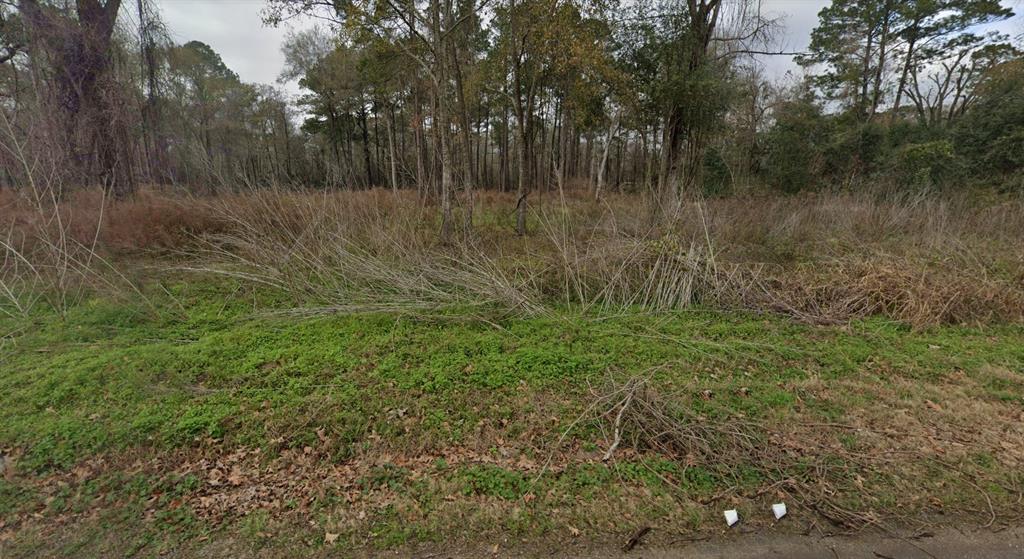 TBD Cherry Creek Drive, Dayton, Texas image 7