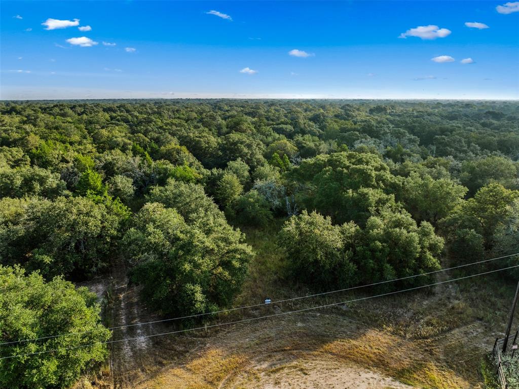 00 Red Oak Court, Weimar, Texas image 8