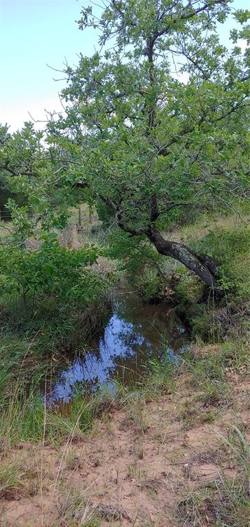 00 Red Oak Court, Weimar, Texas image 33