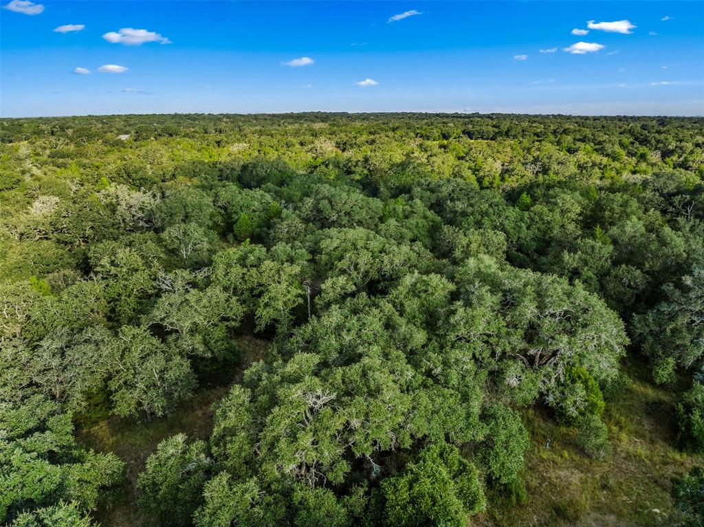 00 Red Oak Court, Weimar, Texas image 9