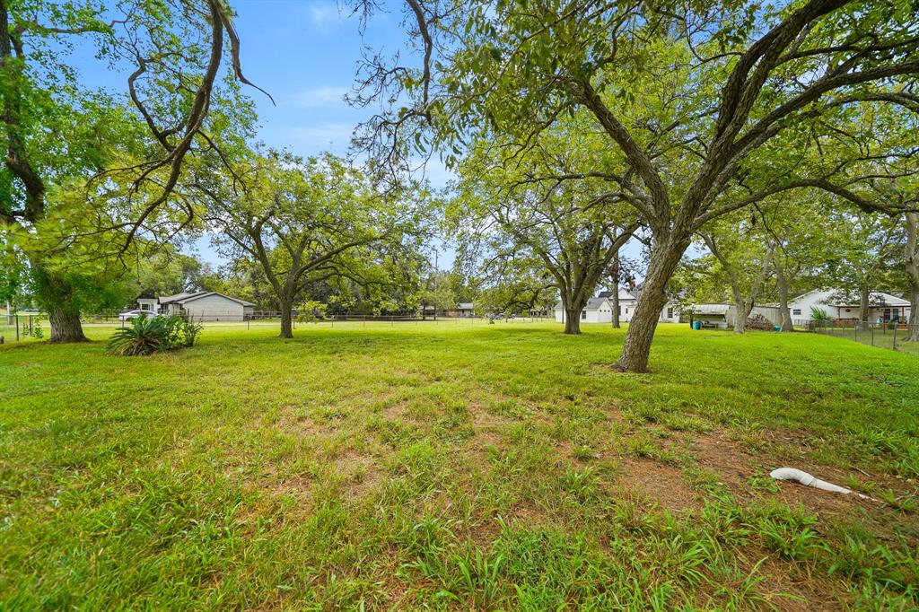 6702 Guyler Street, Wallis, Texas image 41