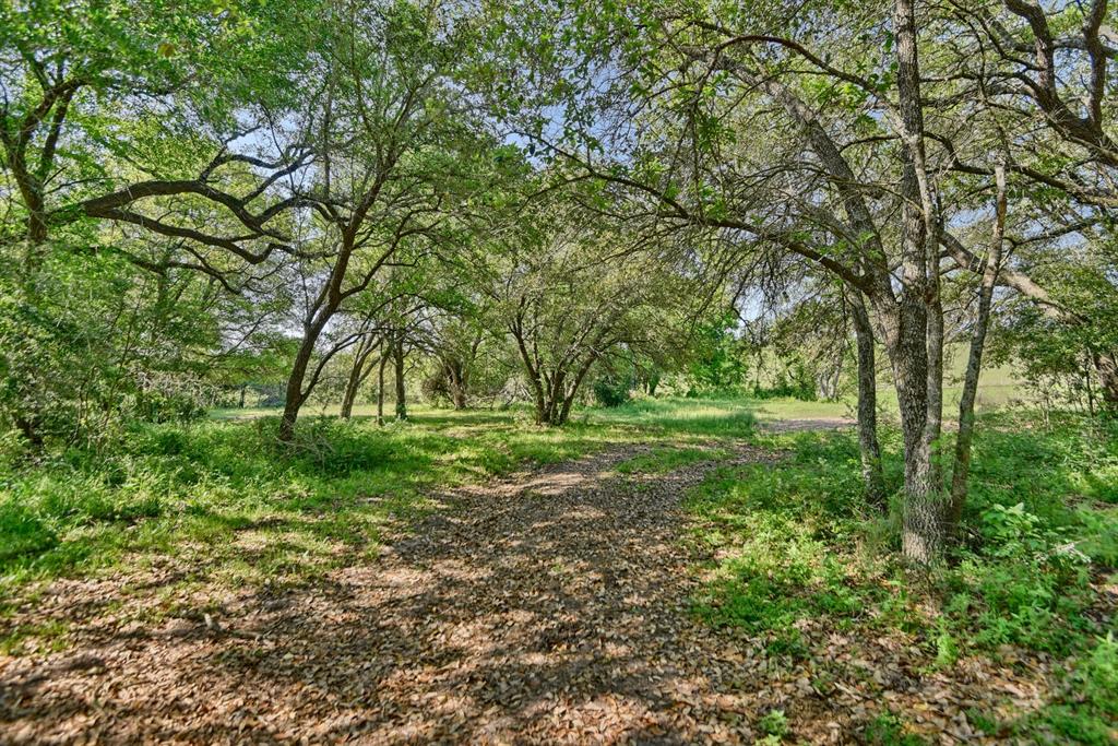 14555 Newman League Road, Washington, Texas image 14