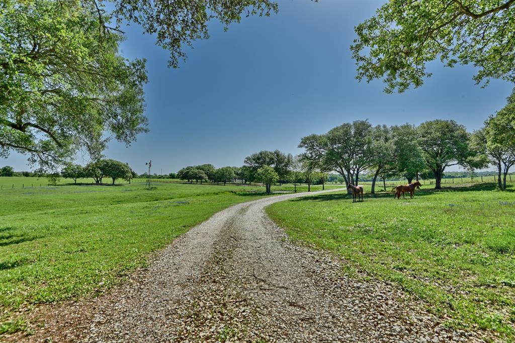 14555 Newman League Road, Washington, Texas image 2
