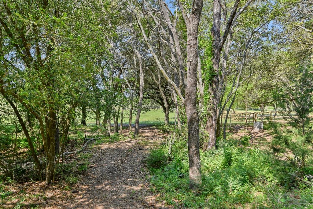 14555 Newman League Road, Washington, Texas image 13
