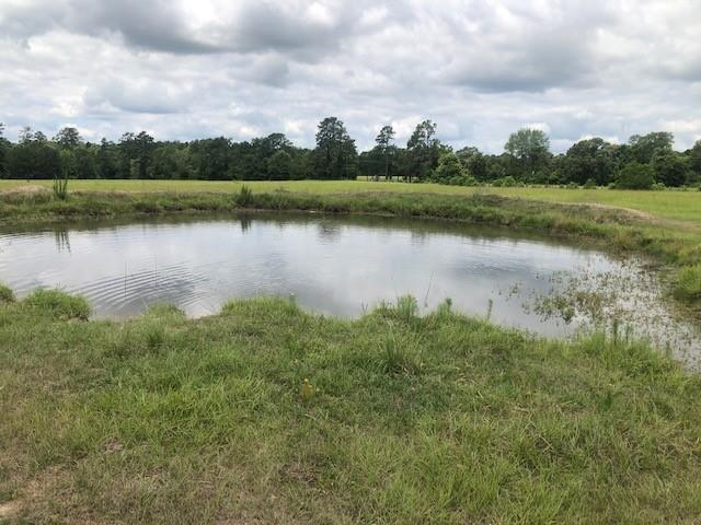 01 Sullivan Road, Apple Springs, Texas image 8