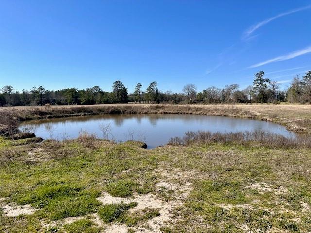 01 Sullivan Road, Apple Springs, Texas image 5