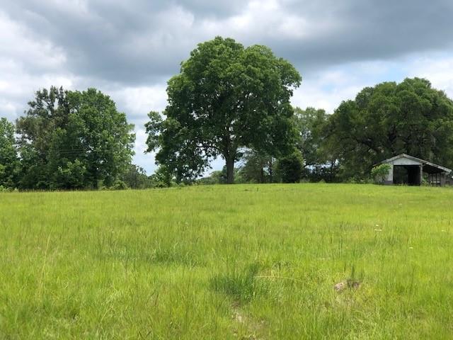 01 Sullivan Road, Apple Springs, Texas image 11