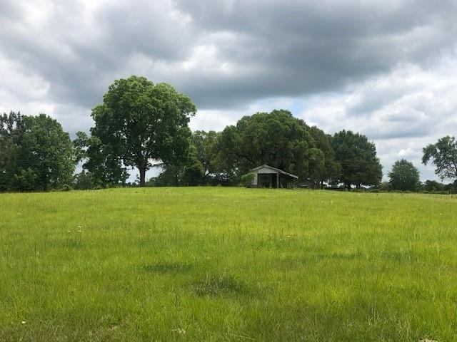 01 Sullivan Road, Apple Springs, Texas image 15