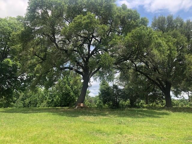 01 Sullivan Road, Apple Springs, Texas image 10