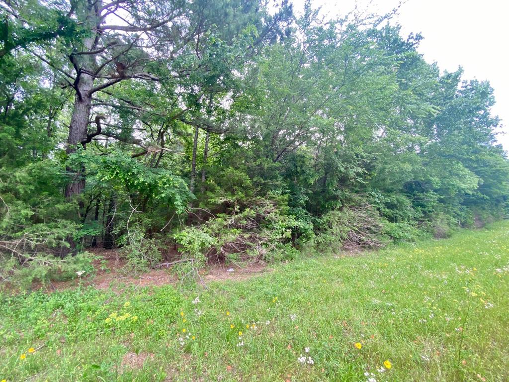 00 S State Highway 19, Elkhart, Texas image 3