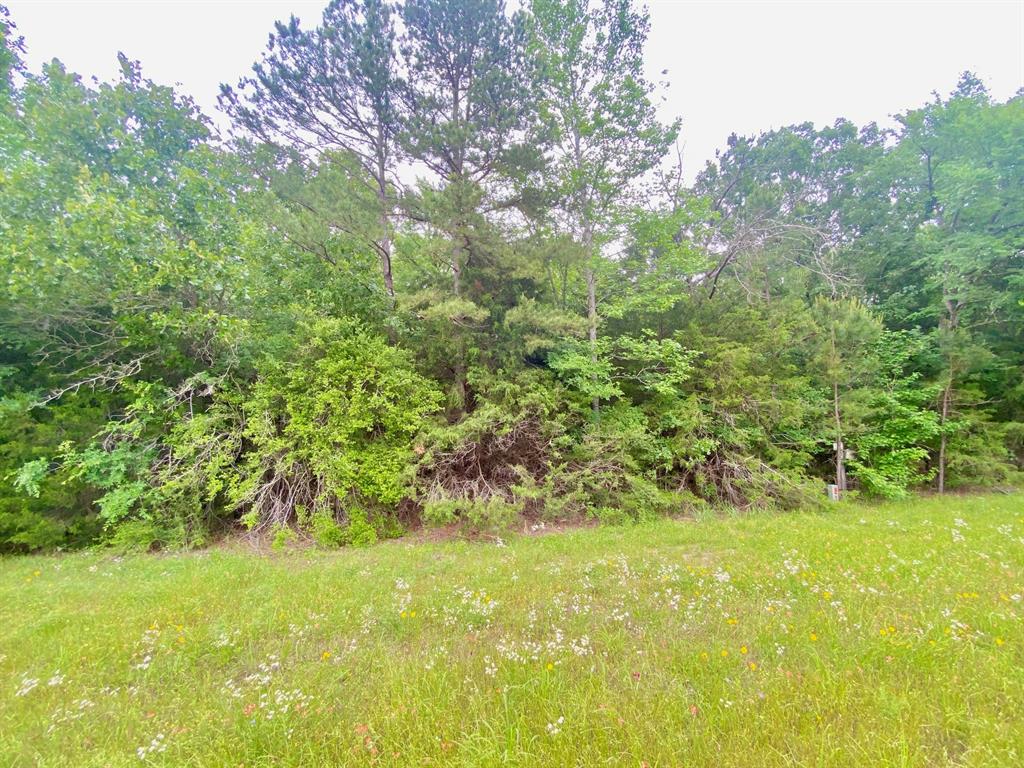 00 S State Highway 19, Elkhart, Texas image 6