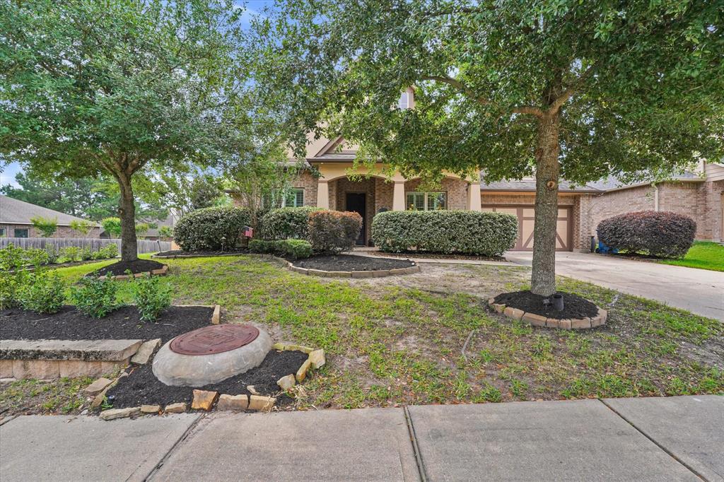 46 Chestnut Meadow Drive, Conroe, Texas image 1