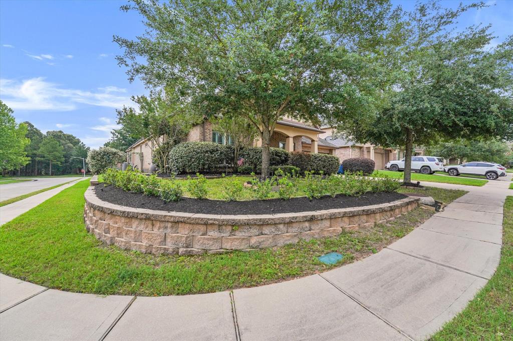 46 Chestnut Meadow Drive, Conroe, Texas image 2