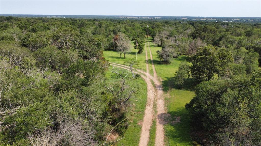 189 Shady Oaks Loop Loop, Cedar Creek, Texas image 4