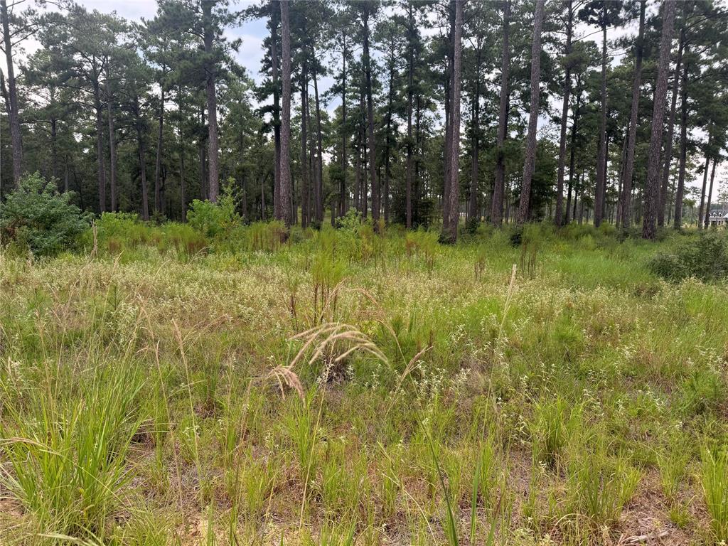 027 Private Road 6028, Brookeland, Texas image 5