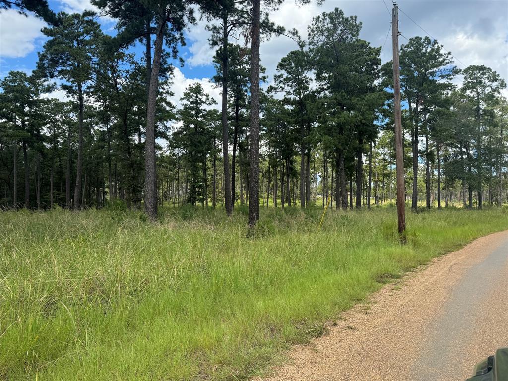 027 Private Road 6028, Brookeland, Texas image 4