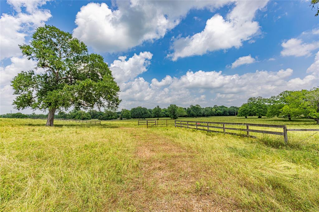 7 Oakland Court, Huntsville, Texas image 6