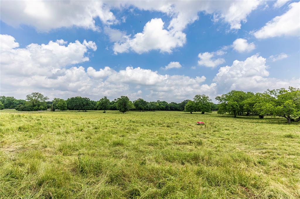 7 Oakland Court, Huntsville, Texas image 7