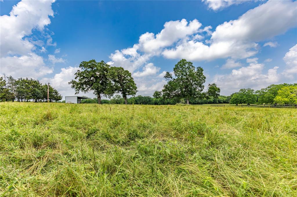 7 Oakland Court, Huntsville, Texas image 3