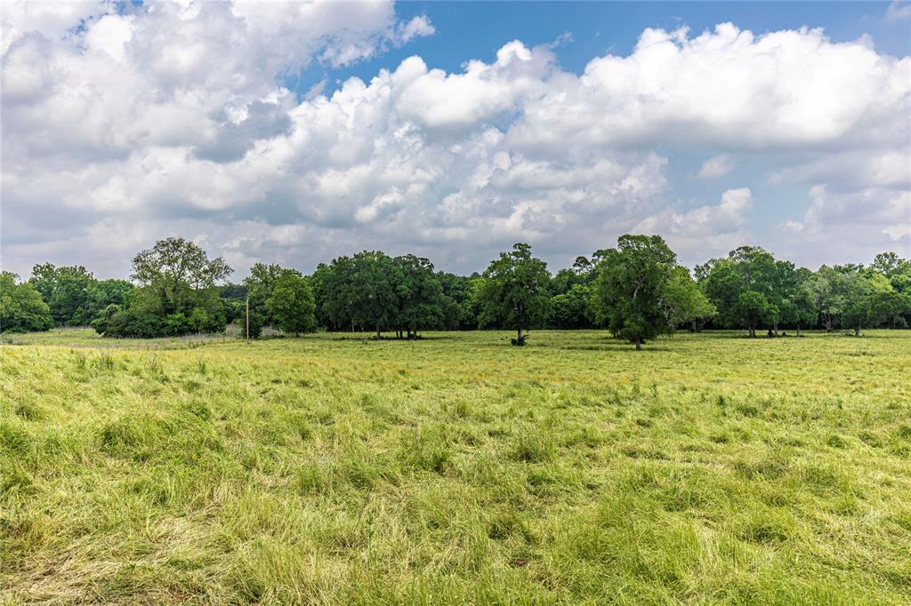 7 Oakland Court, Huntsville, Texas image 8