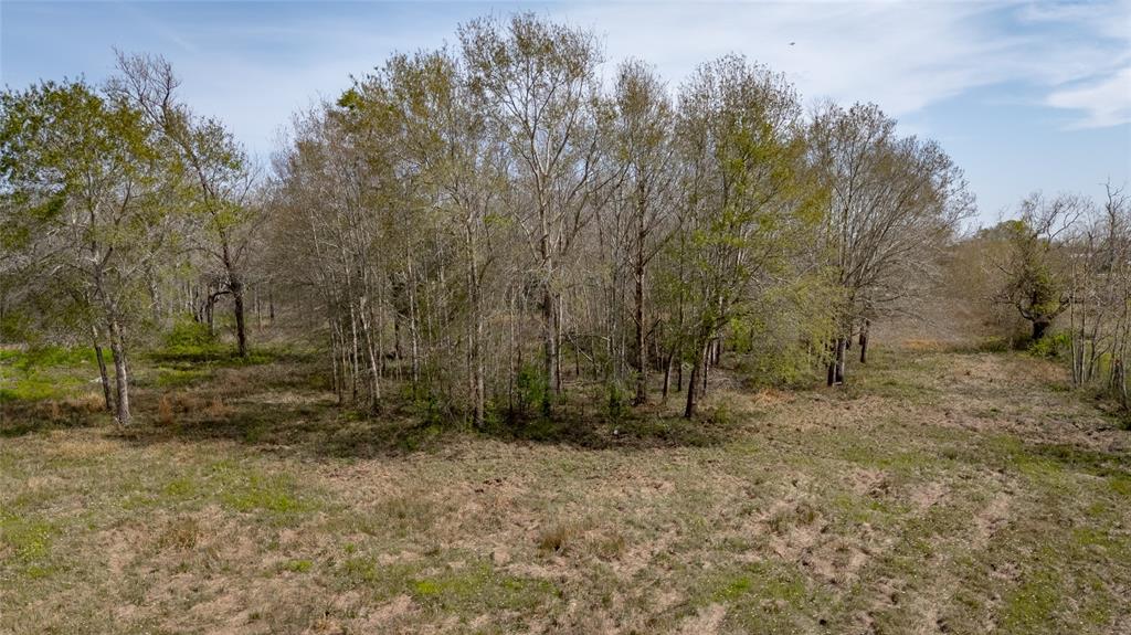 7211 County Road 194, Alvin, Texas image 13