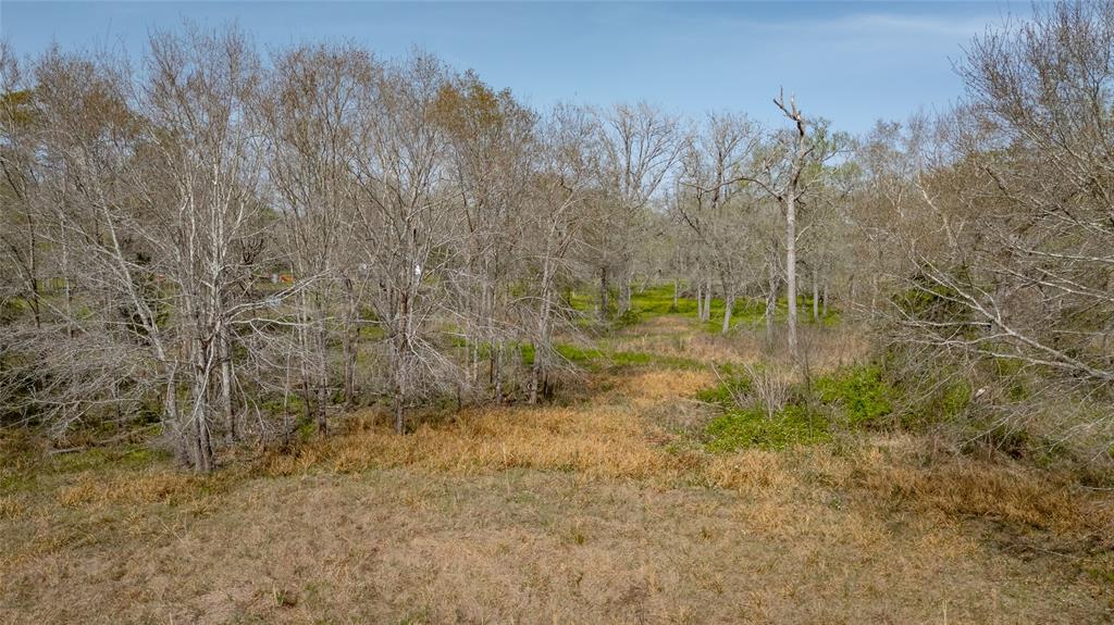 7211 County Road 194, Alvin, Texas image 11