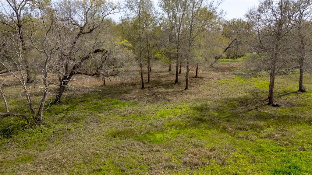 7211 County Road 194, Alvin, Texas image 15