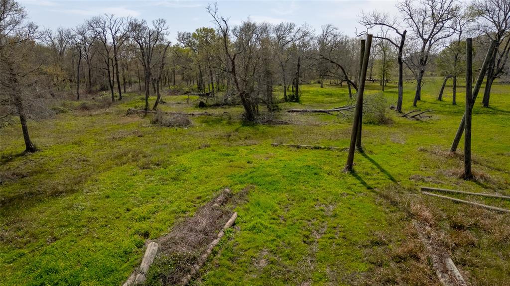 7211 County Road 194, Alvin, Texas image 14