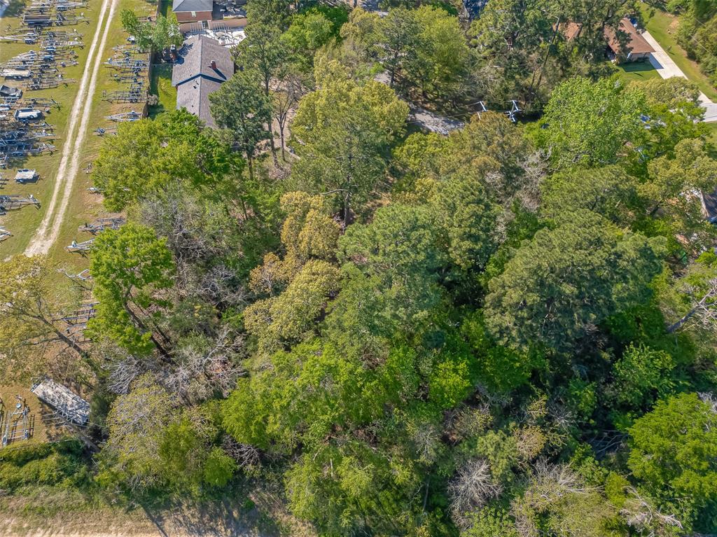 11690 S Ridgeway Drive, Willis, Texas image 15