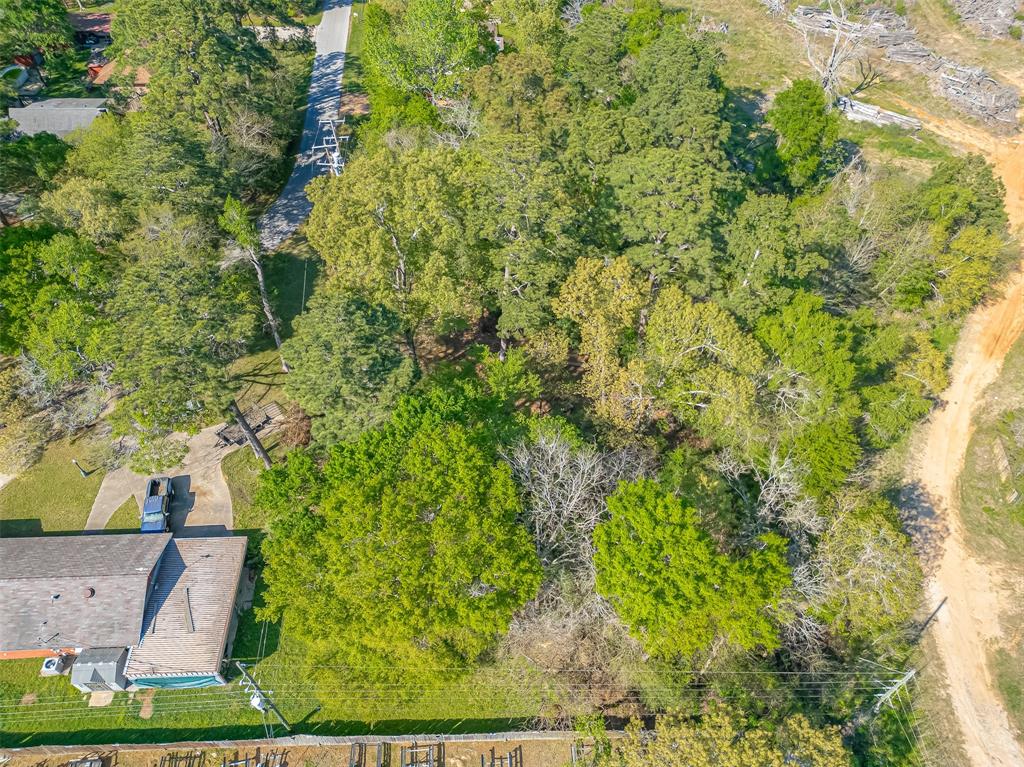 11690 S Ridgeway Drive, Willis, Texas image 13