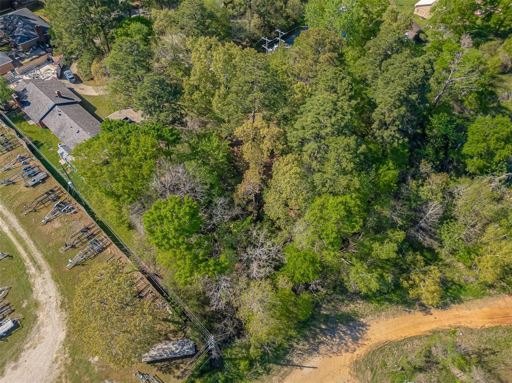 11690 S Ridgeway Drive, Willis, Texas image 14