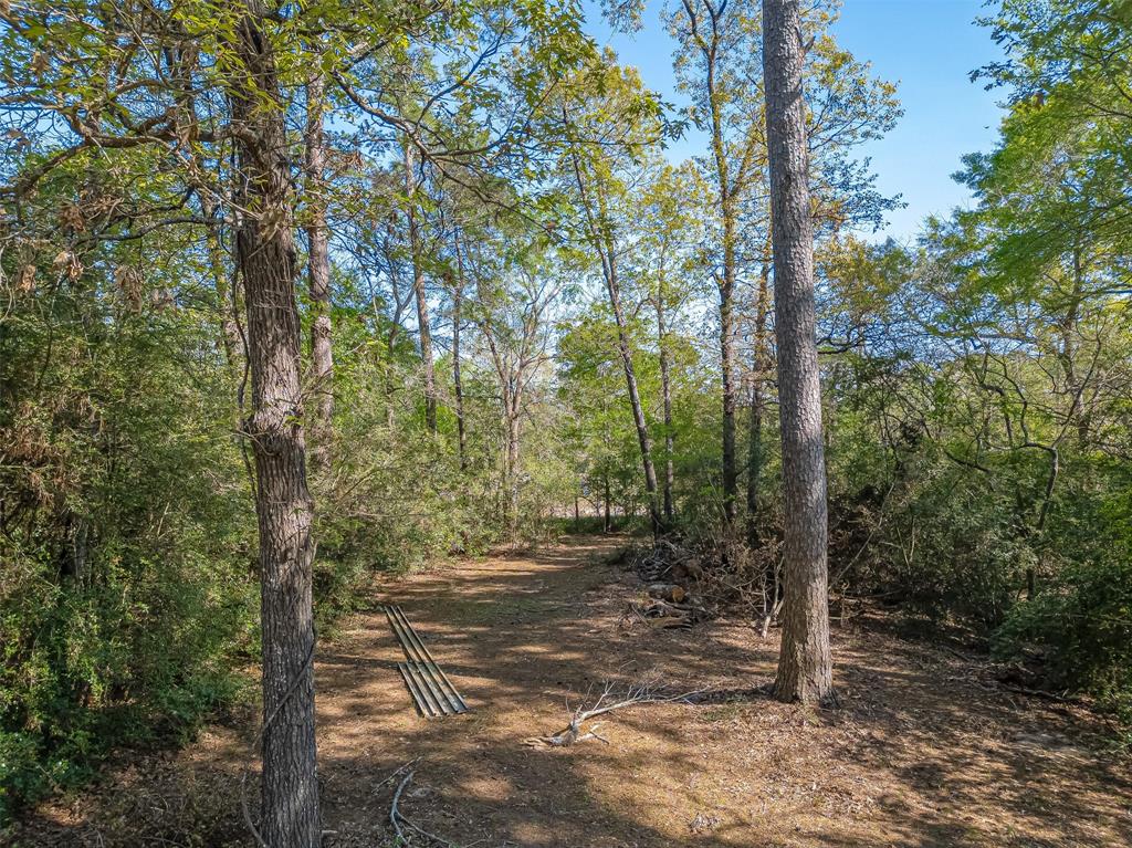 11690 S Ridgeway Drive, Willis, Texas image 4