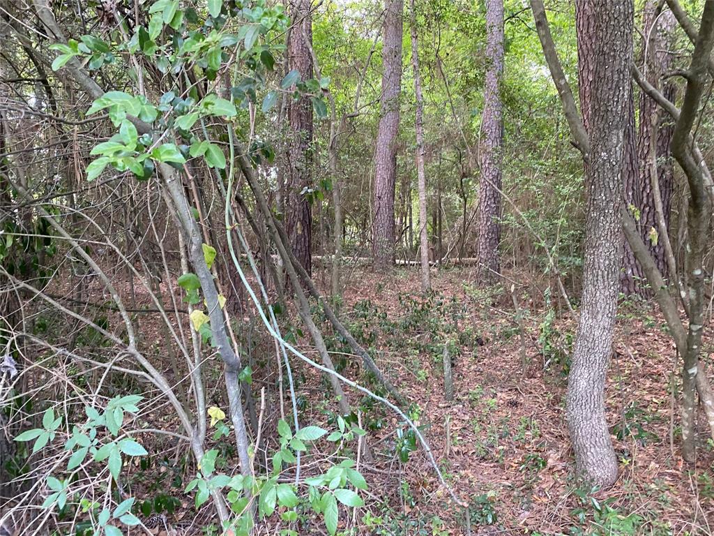 Mohawk Bnd, Conroe, Texas image 7