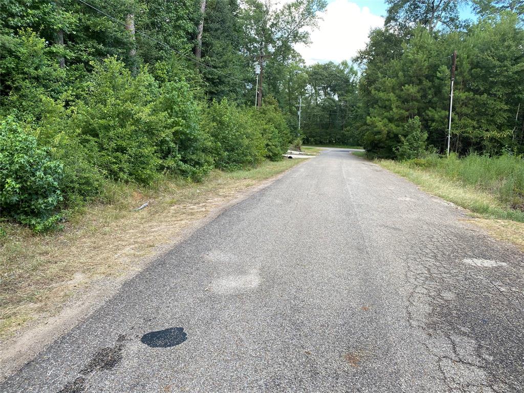 Mohawk Bnd, Conroe, Texas image 11