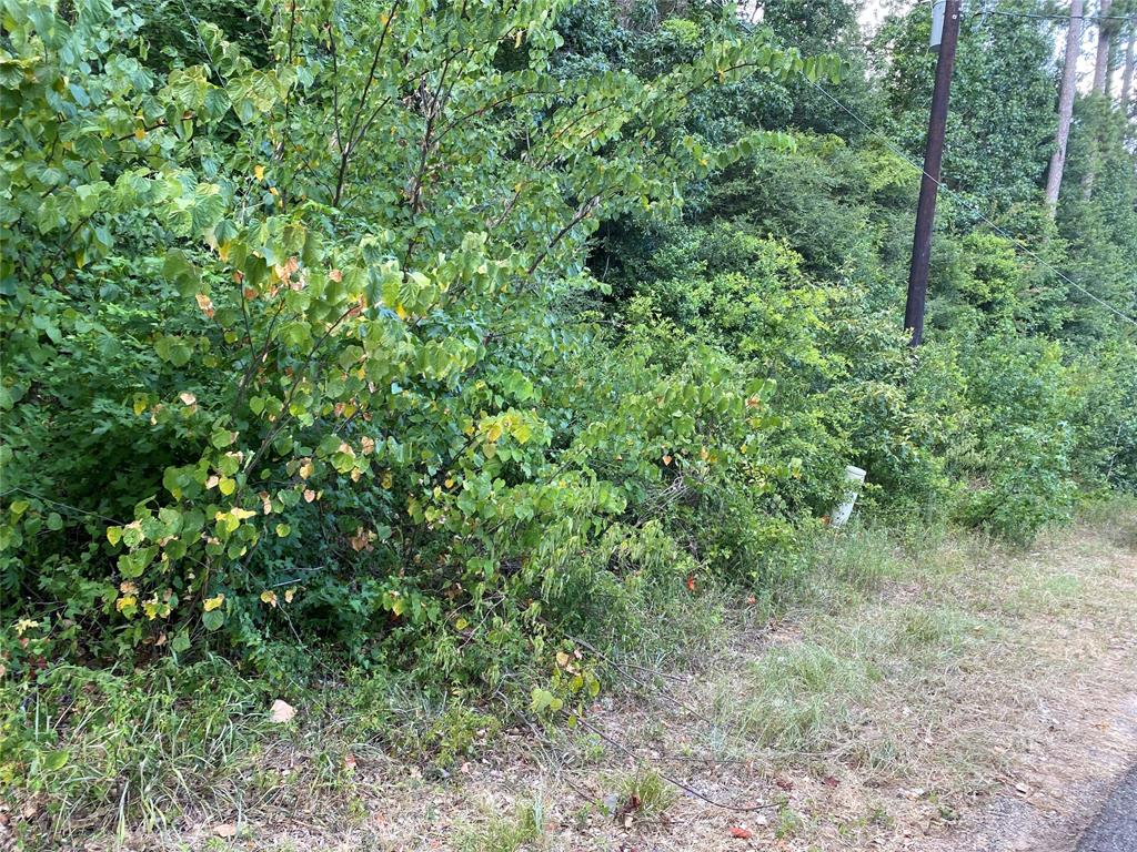 Mohawk Bnd, Conroe, Texas image 9