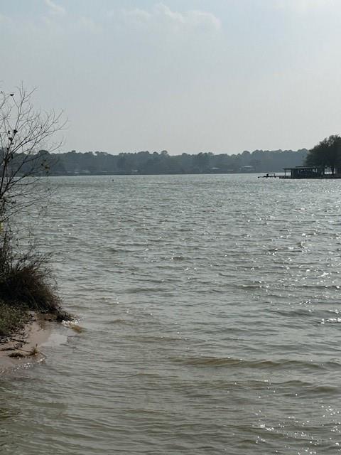 13134 Lake Conroe Bay Road, Willis, Texas image 5