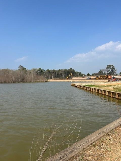13134 Lake Conroe Bay Road, Willis, Texas image 2