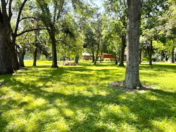 Gresham Street, Wallis, Texas image 2