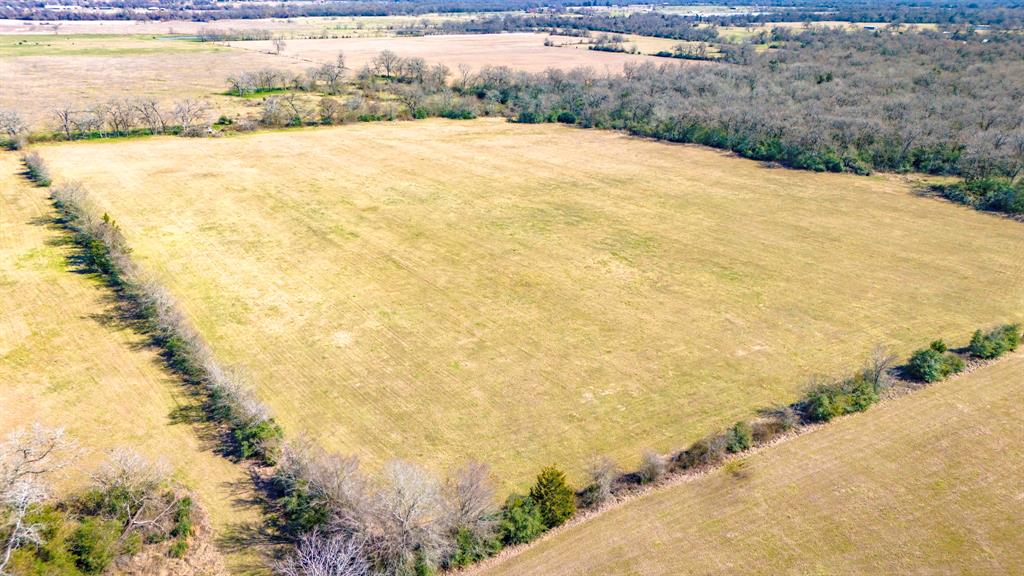 3333 Malone Road, Midway, Texas image 7