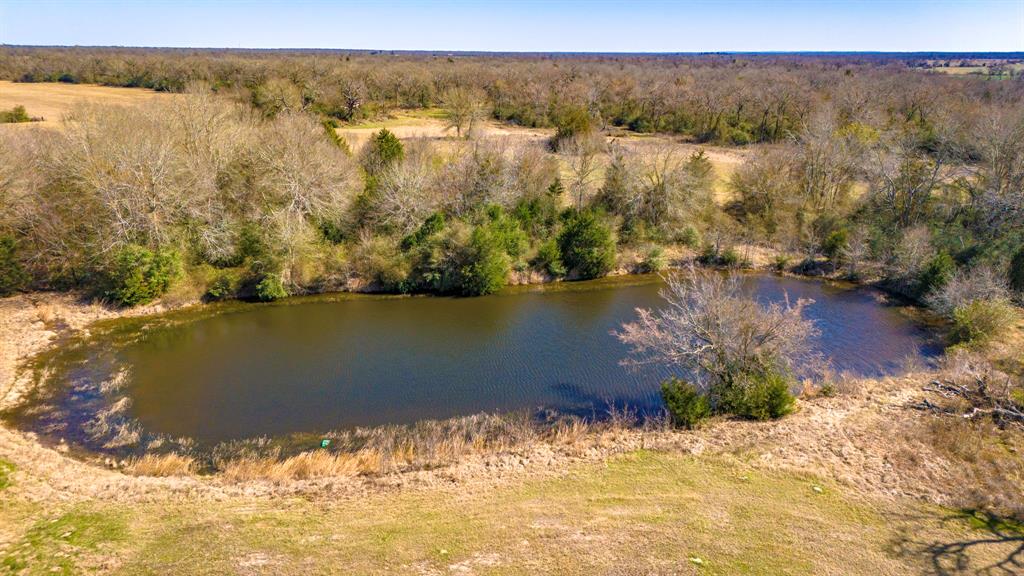 3333 Malone Road, Midway, Texas image 2