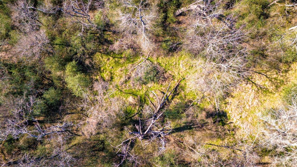 3333 Malone Road, Midway, Texas image 29