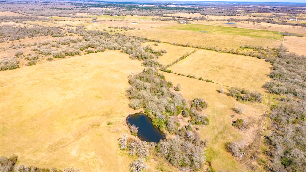 3333 Malone Road, Midway, Texas image 10