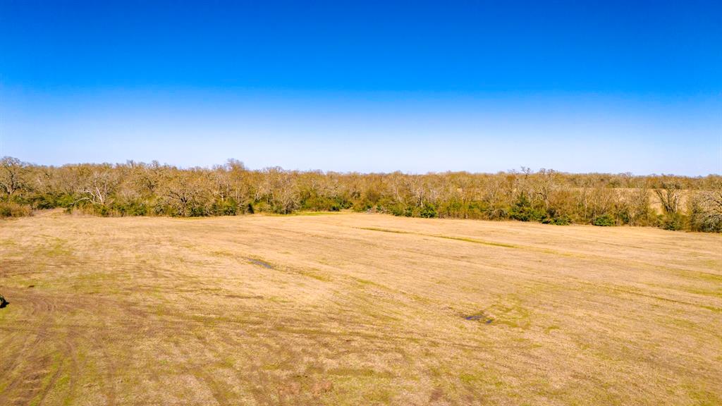 3333 Malone Road, Midway, Texas image 13