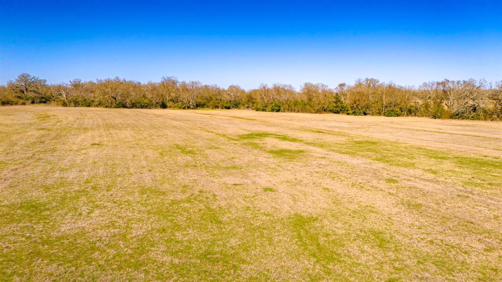 3333 Malone Road, Midway, Texas image 42