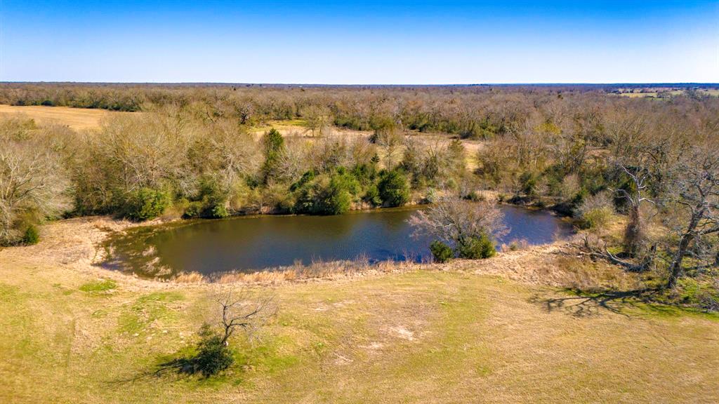 3333 Malone Road, Midway, Texas image 6